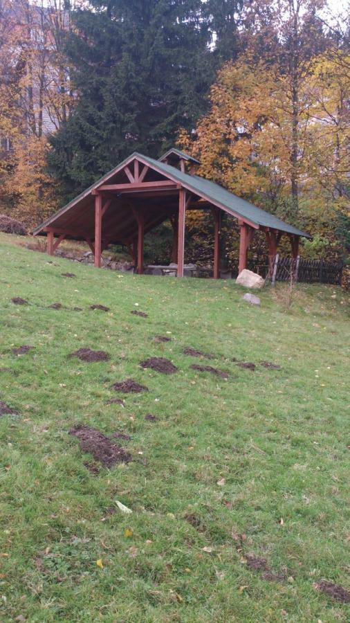 Nasz Domek Karpacz Bagian luar foto